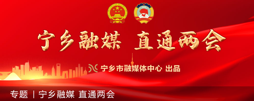 宁乡融媒 直通两会