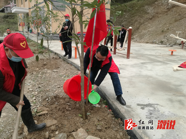4植树绿化.jpg
