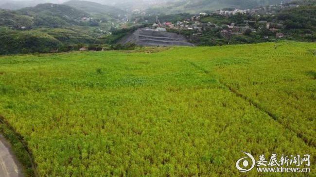 微信图片_20201228163439