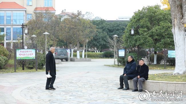 秋湖村老人们正在村里散步唠嗑