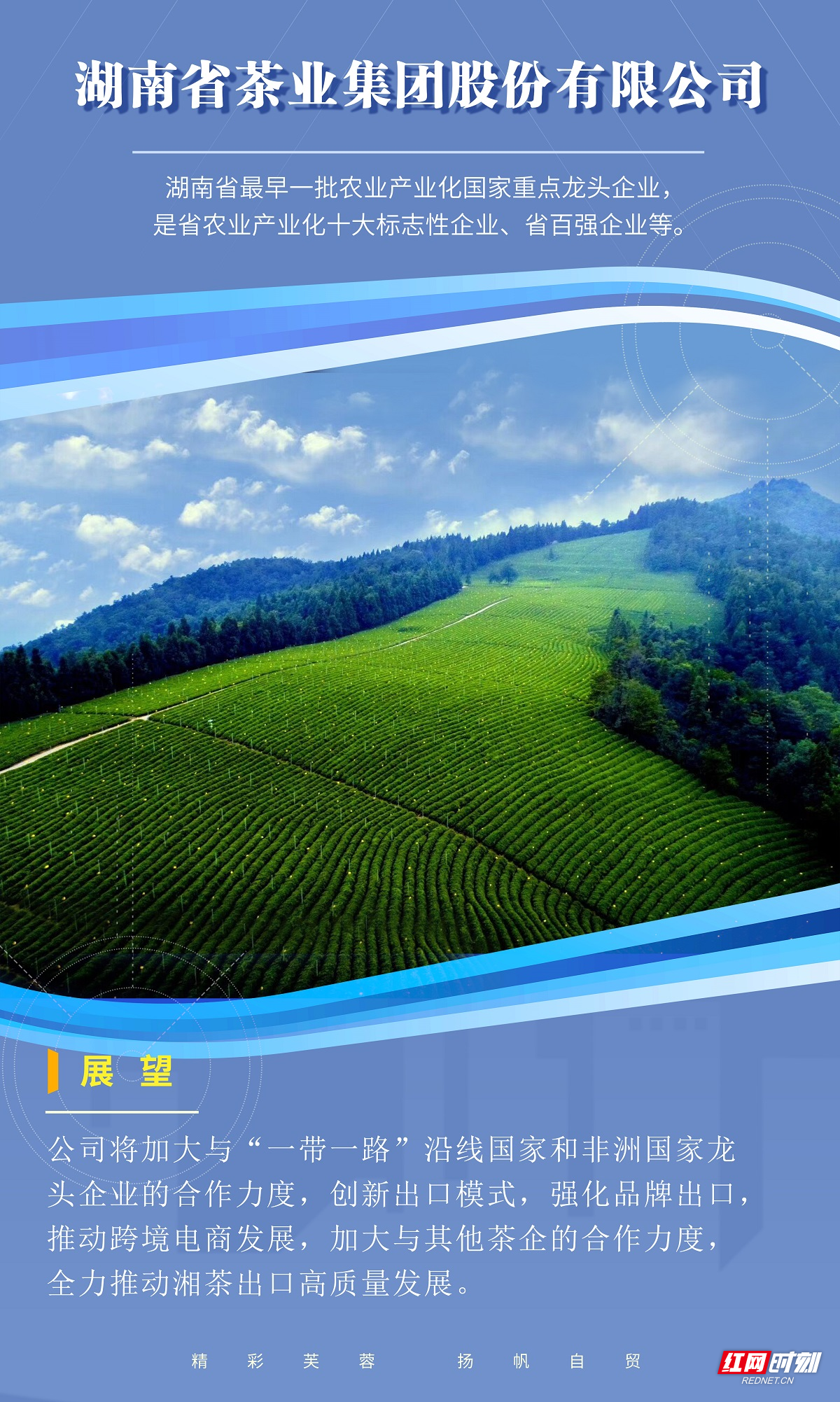 茶叶.jpg 茶叶.jpg