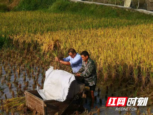 tupian45.jpg