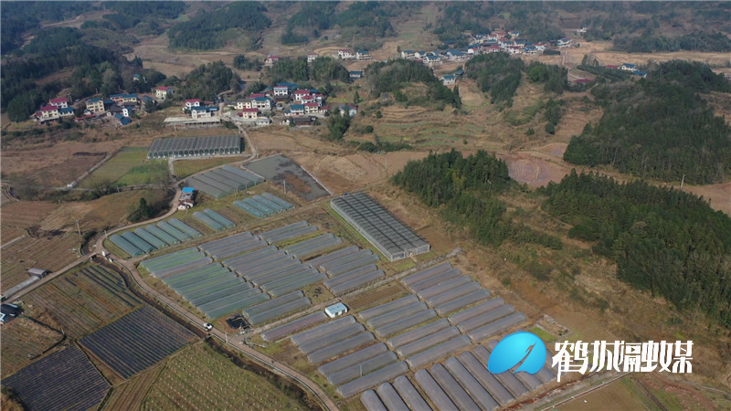 鹤城区：科学应对低温雨雪天气 降低天气对农作物影响（半成品）.mp4_20201231_174541.187.jpg