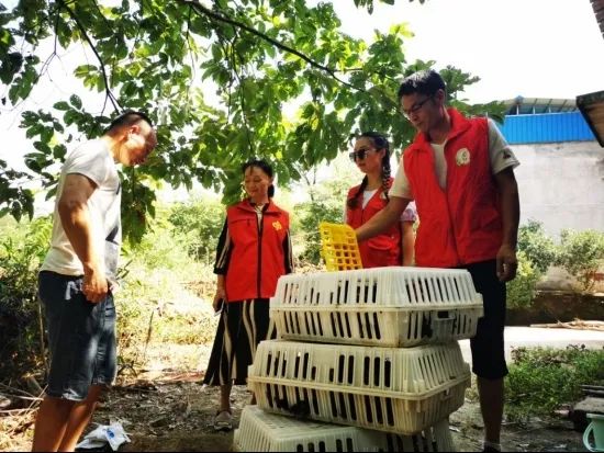 605ef117649561aba85506154ca7316.jpg 图片