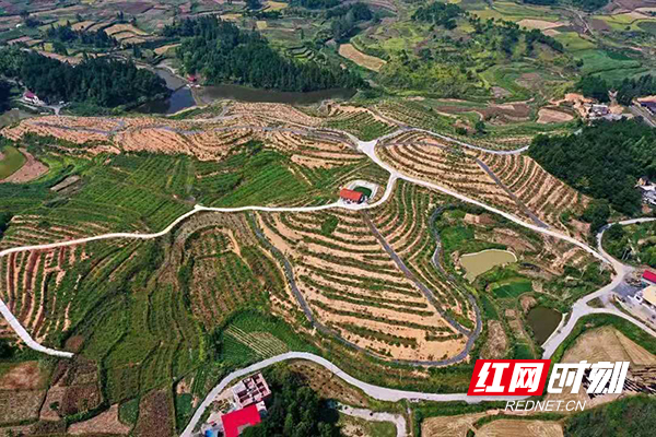 WechatIMG6.jpg WechatIMG6.jpg