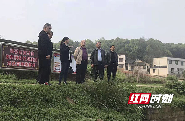 雨花111.jpg 雨花111.jpg