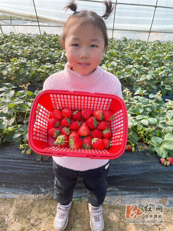 微信图片_20210103110258_副本.jpg