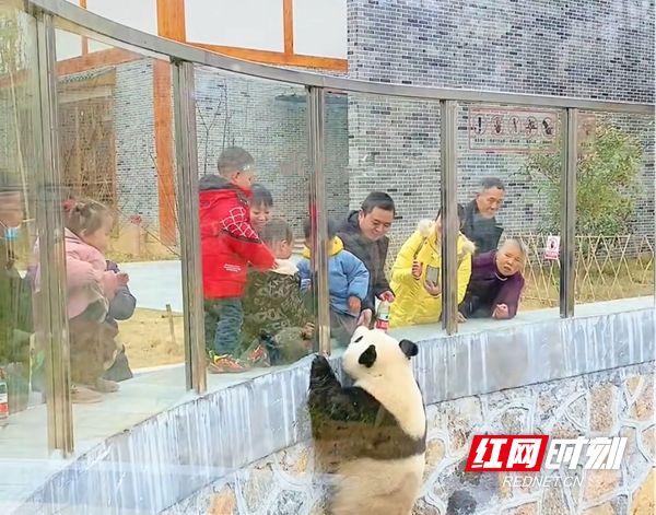 图片2.jpg