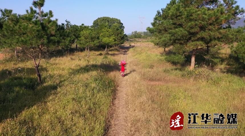 QQ截图20210104095256.jpg