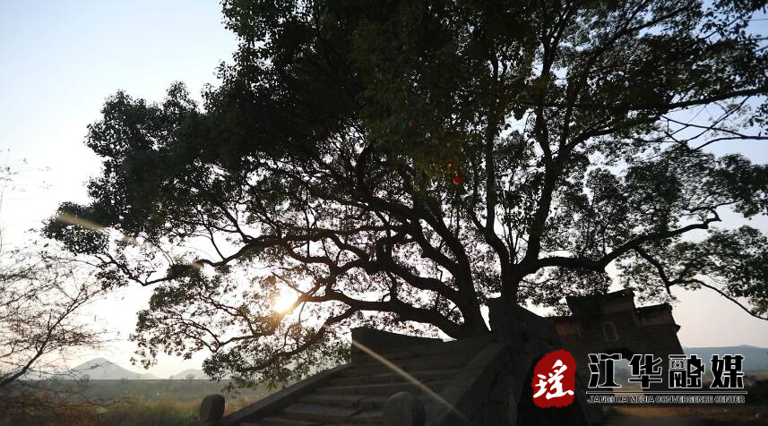 QQ截图20210104095230.jpg