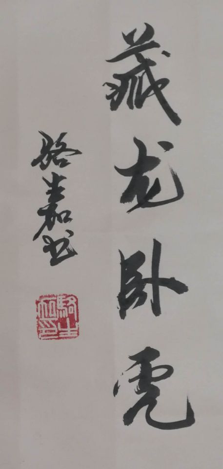 “藏龙卧虎”骆生加书.jpg