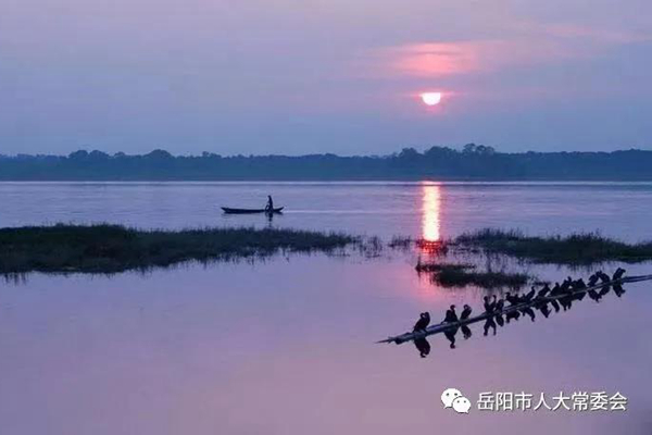 微信图片_20210106152824.jpg 微信图片_20210106152824.jpg