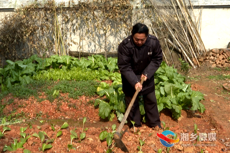 胡建光打理自家的小菜园。.png
