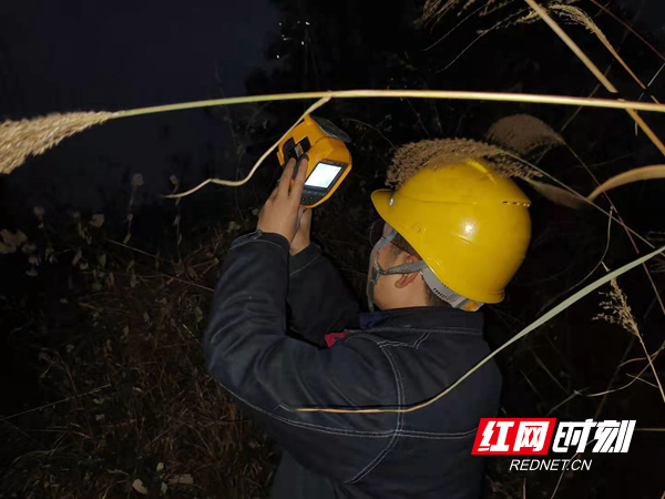 零下1度，供电员工在巡视供电线路。.jpg