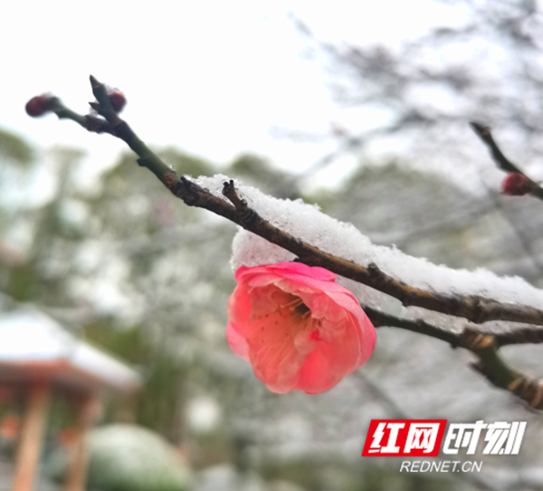 微信截图_20210107203614.png
