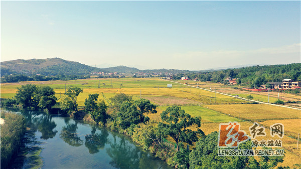 牛角坝镇农田 (周勇拍摄).jpg