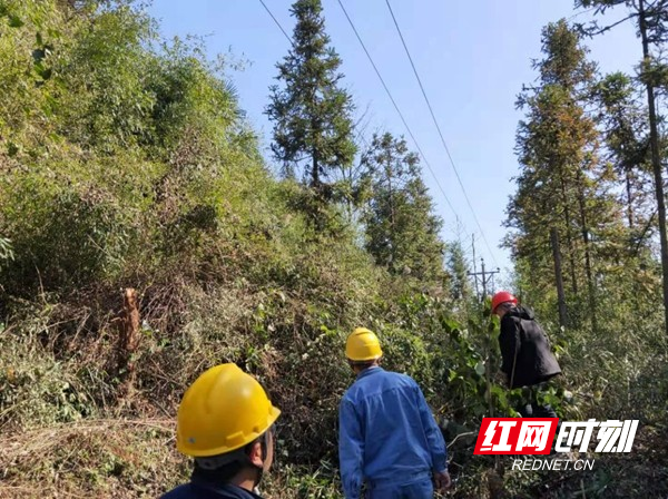 供电员工翻山越岭开展10千伏线路特巡_副本.jpg