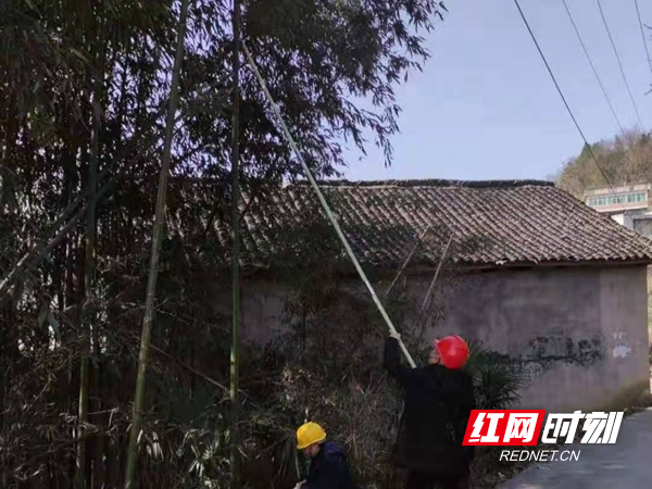 清理0.4千伏供电线路通道_副本.jpg