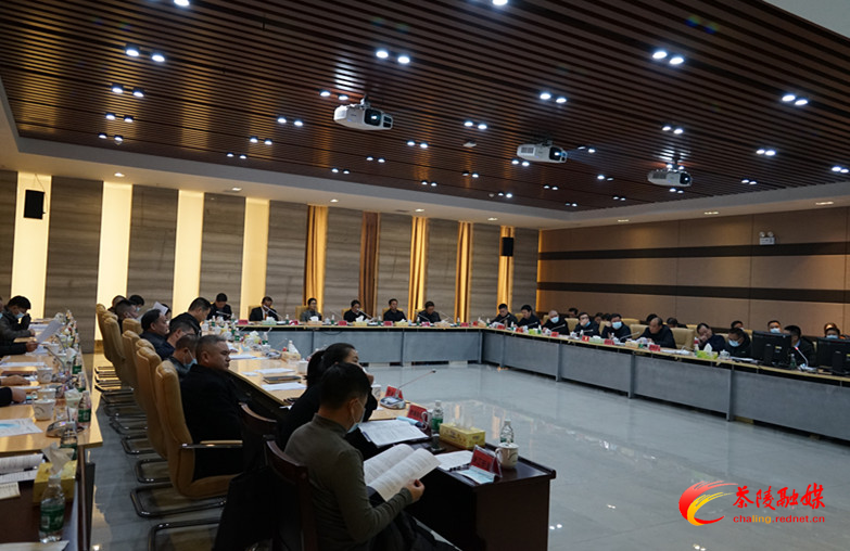 茶陵县2021年第一次规划委员会会议召开