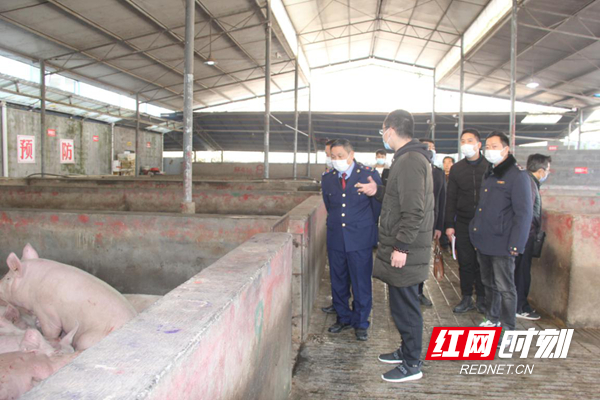 图片27.jpg