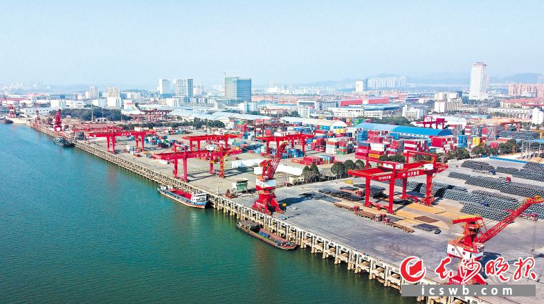 2020年，长沙新港完成货物吞吐量1115万吨，同比增长16%，长沙新港迈入“千万吨级”港口行列，成为第一个千万吨级的中部内河港区。 长沙晚报全媒体记者 王志伟 摄