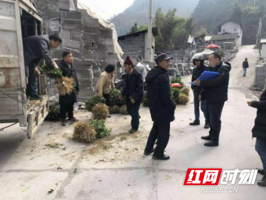 tupian6.jpg tupian6.jpg