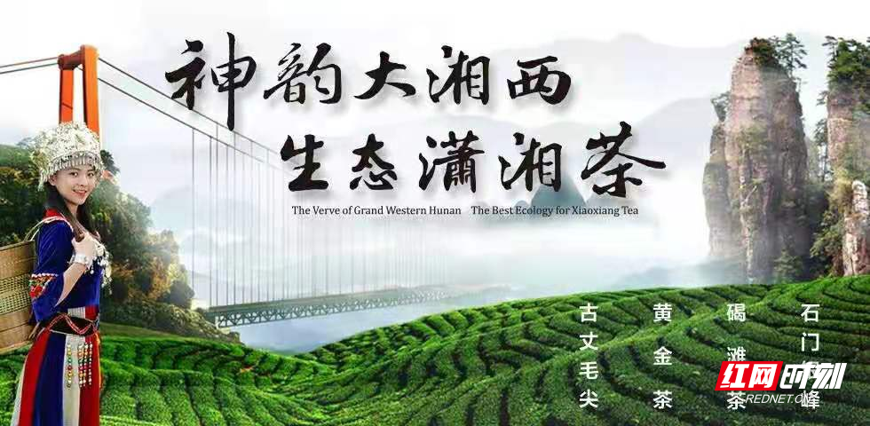 3、2020年度中国茶叶品牌价值评估结果出炉，潇湘茶公共品牌在全国区域公共品牌中排名第四.jpg