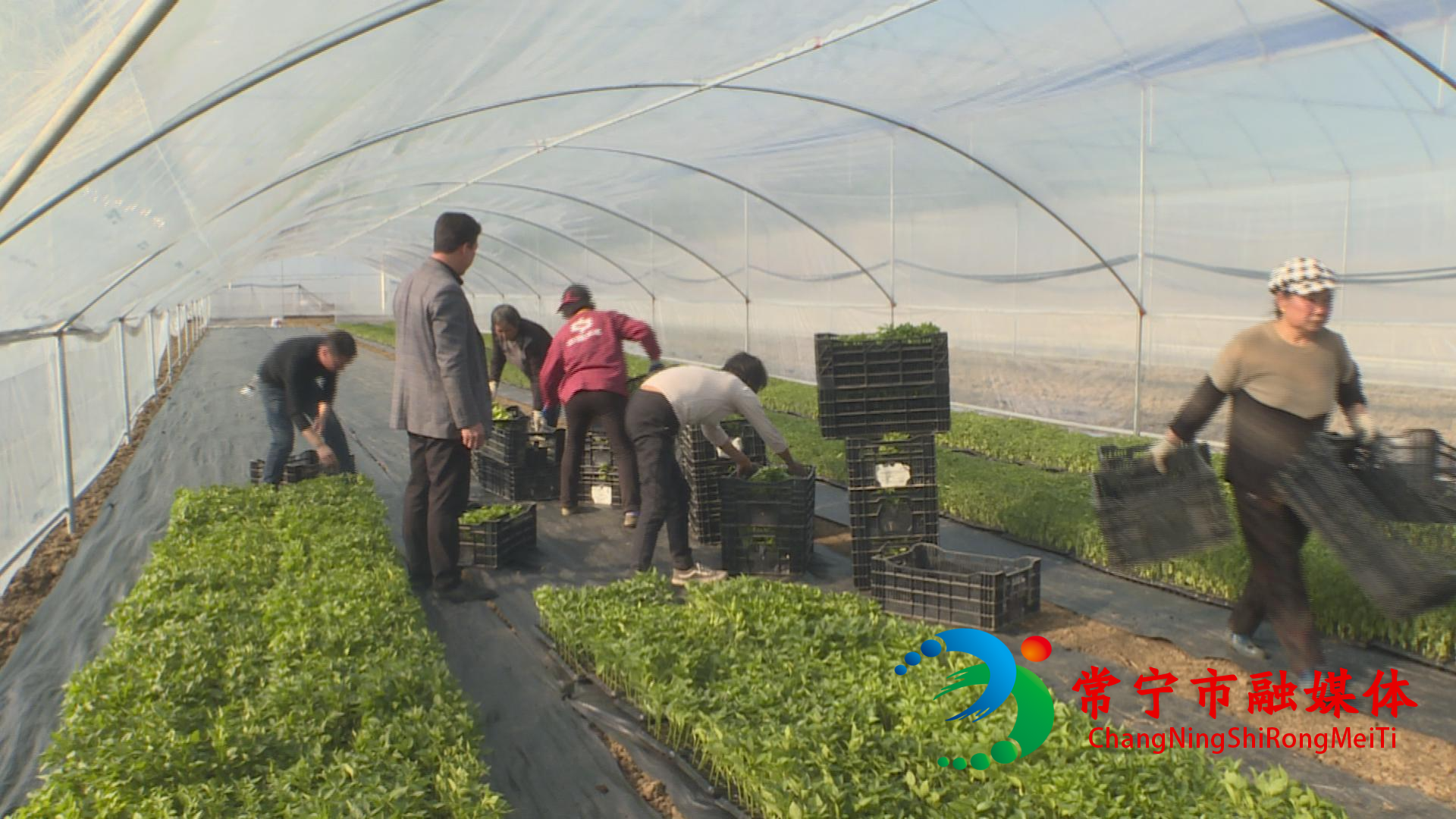 10c852db981f26228f7d04b58eb52c4(1).jpg 10c852db981f26228f7d04b58eb52c4(1).jpg