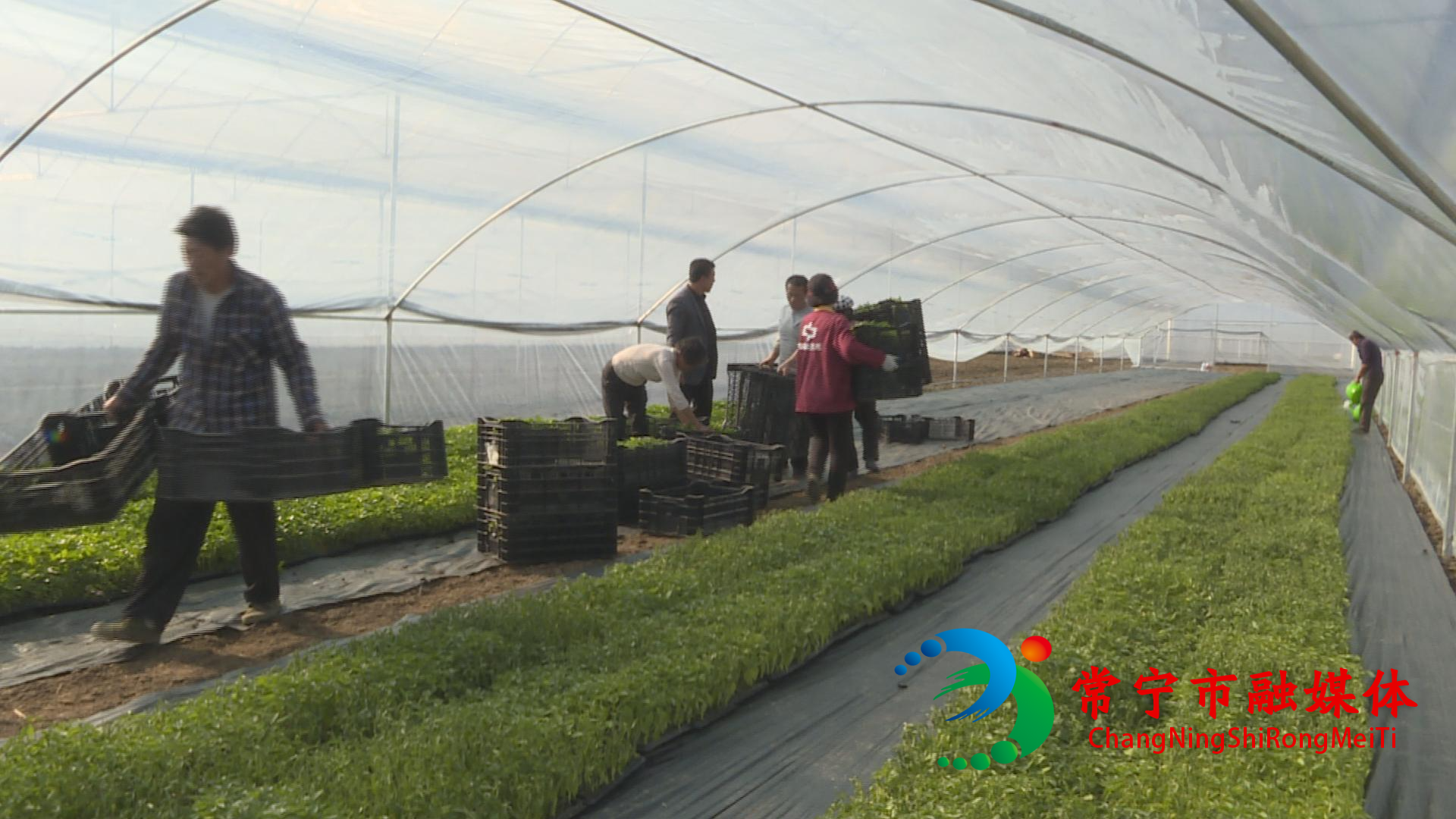 ee17653a3d6b0eb18085e2718144647(1).jpg ee17653a3d6b0eb18085e2718144647(1).jpg