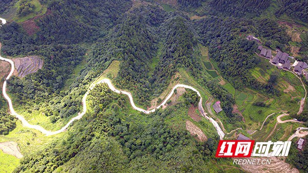 龙新宇：找准脱贫思路，走好致富道路