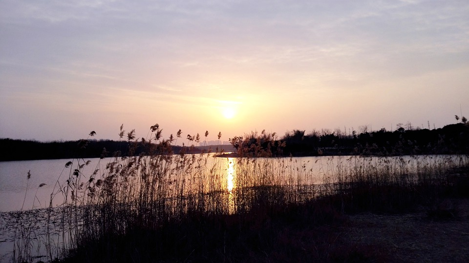 sunset-4394232_960_720.jpg