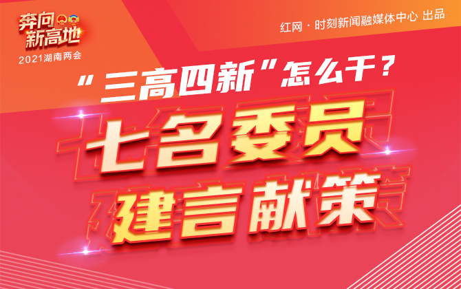 “三高四新”怎么干？七名委员建言献策