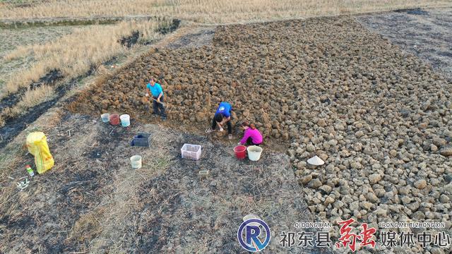 w_微信图片_20210125114710.jpg