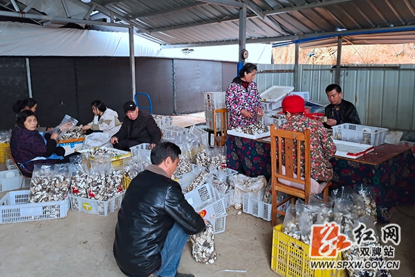 微信图片_20210123154633_副本_副本.jpg