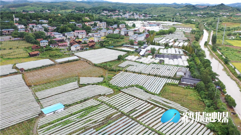 黄秀佳：十八年扎根泥土 昔日穷村变景区.mp4_20210129_153339.658.png
