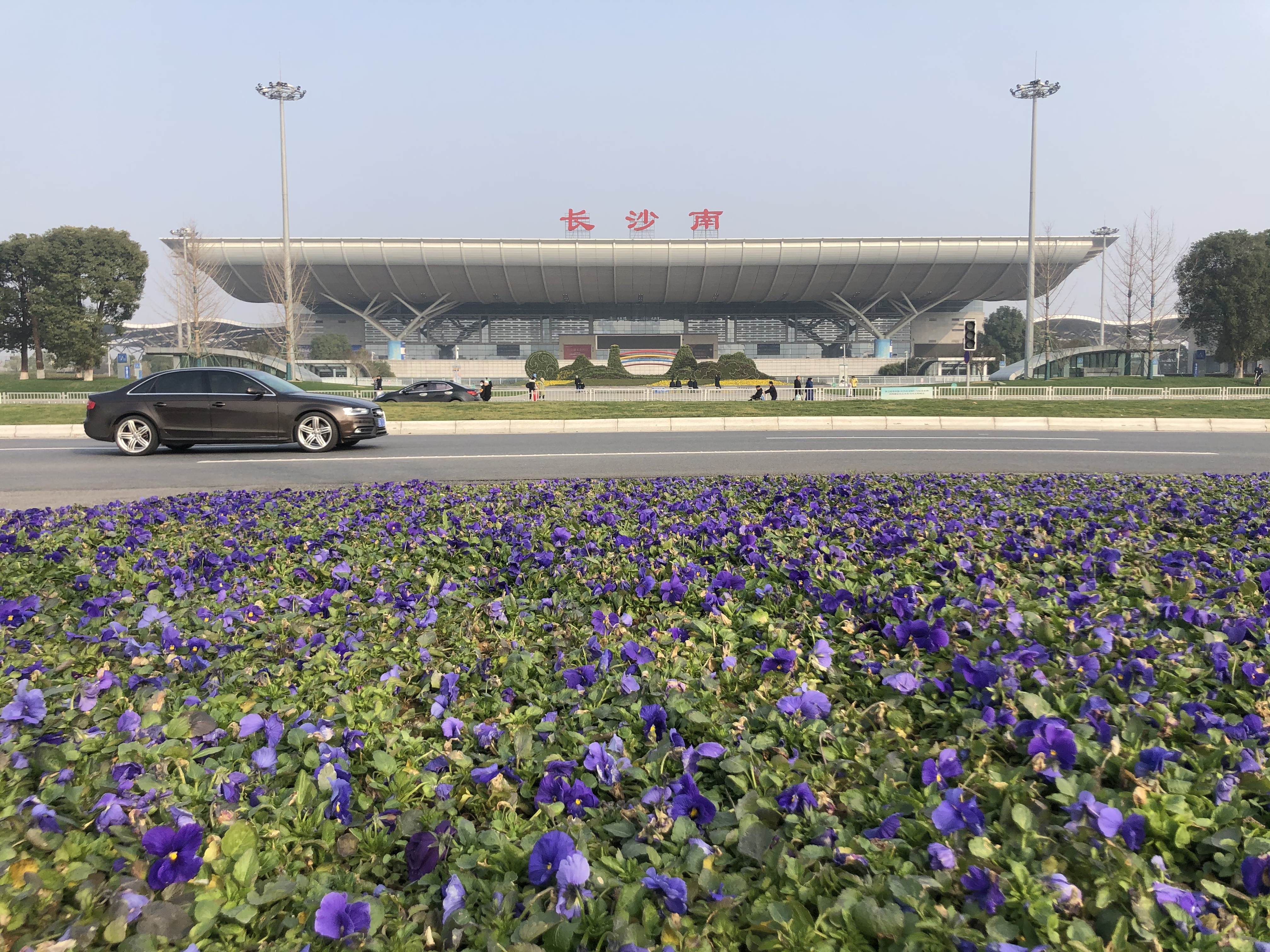雨花区花侯路绿化整体提质工程完工，时令鲜花点缀路侧，让进出高铁站的旅客爽心悦目。长沙晚报通讯员 高兴 摄