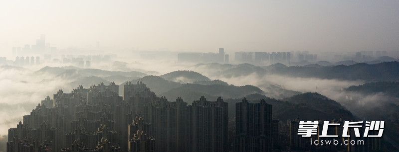 今日上午，天空开始放晴，长沙上空云雾缭绕如人间仙境。本文图片除特别标注外均由长沙晚报全媒体记者 邹麟 摄