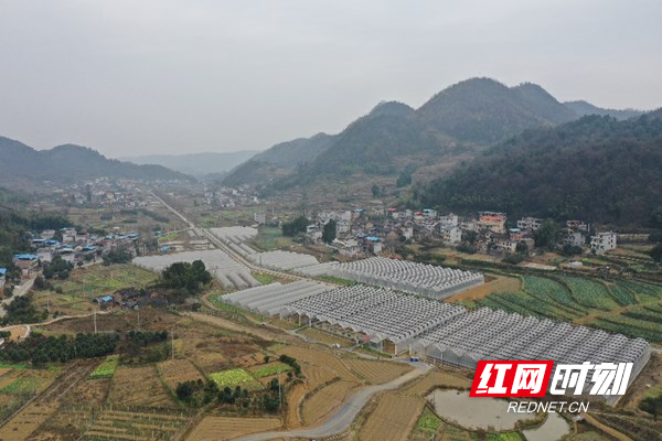 DJI_0238_副本.jpg