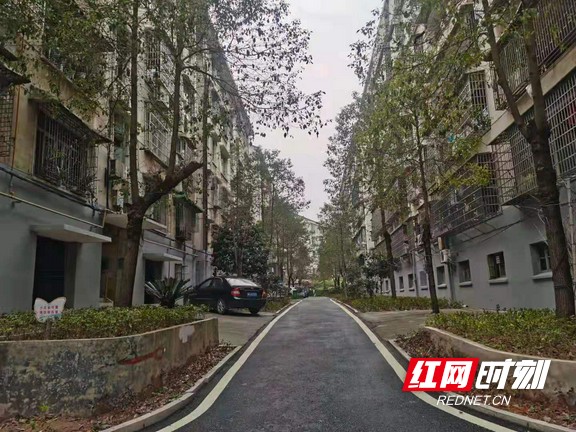 改造后的金凤小区绿植莹莹。.marked.jpg