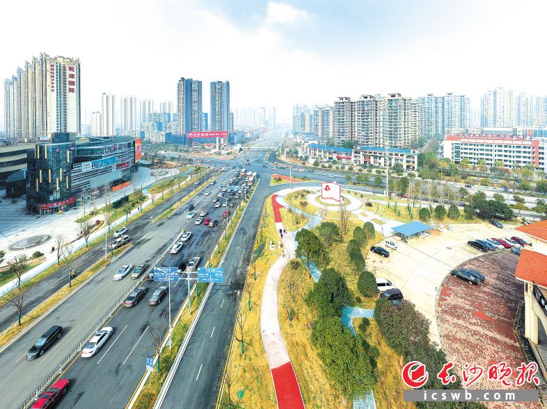 　　提质改造后的金星大道车畅人欢。陈飞 摄　　本版除署名外，均为望城区委宣传部供图
