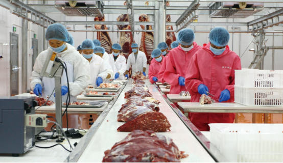 肉类加工.