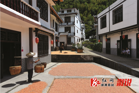 干净整洁的院落.jpg