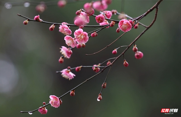 2.4图说（新平台）.jpg