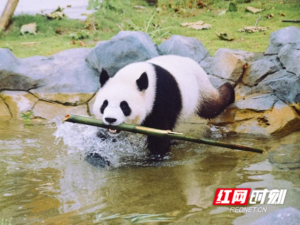 图片37.jpg