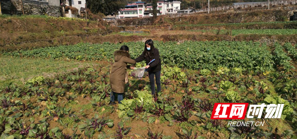 图片43_副本.png 图片43_副本.png