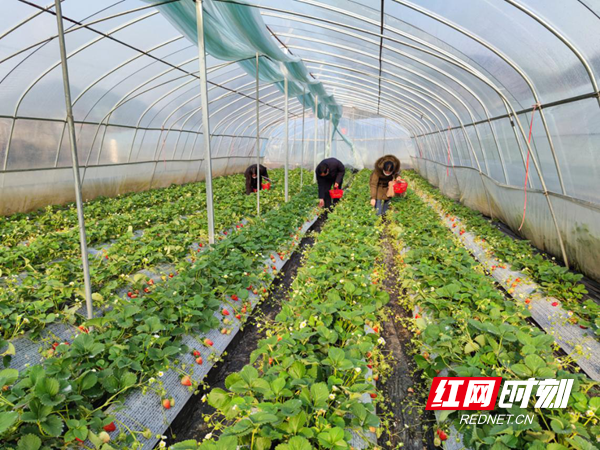 图片44_副本.png 图片44_副本.png