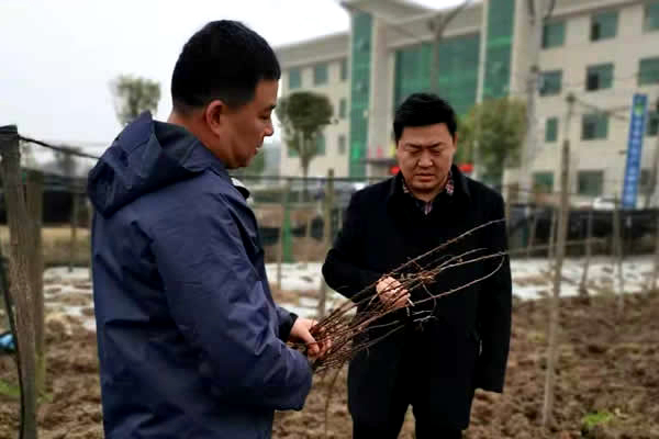 县委常委、宣传部长姜伟慰问.jpg