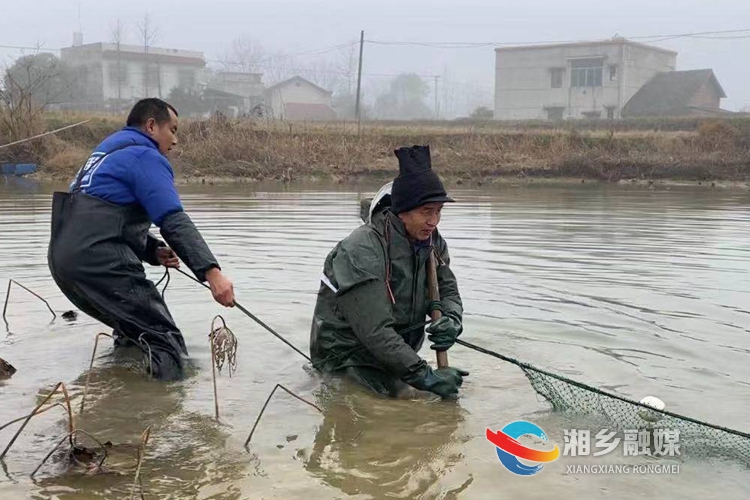 捕鱼师傅们围网捕鱼。.jpg