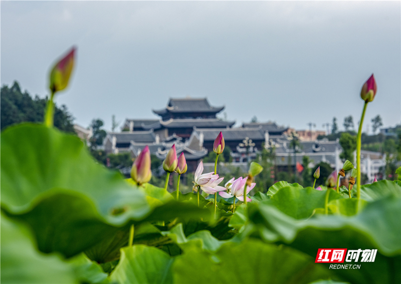 《濂溪书院》副本1_副本.jpg