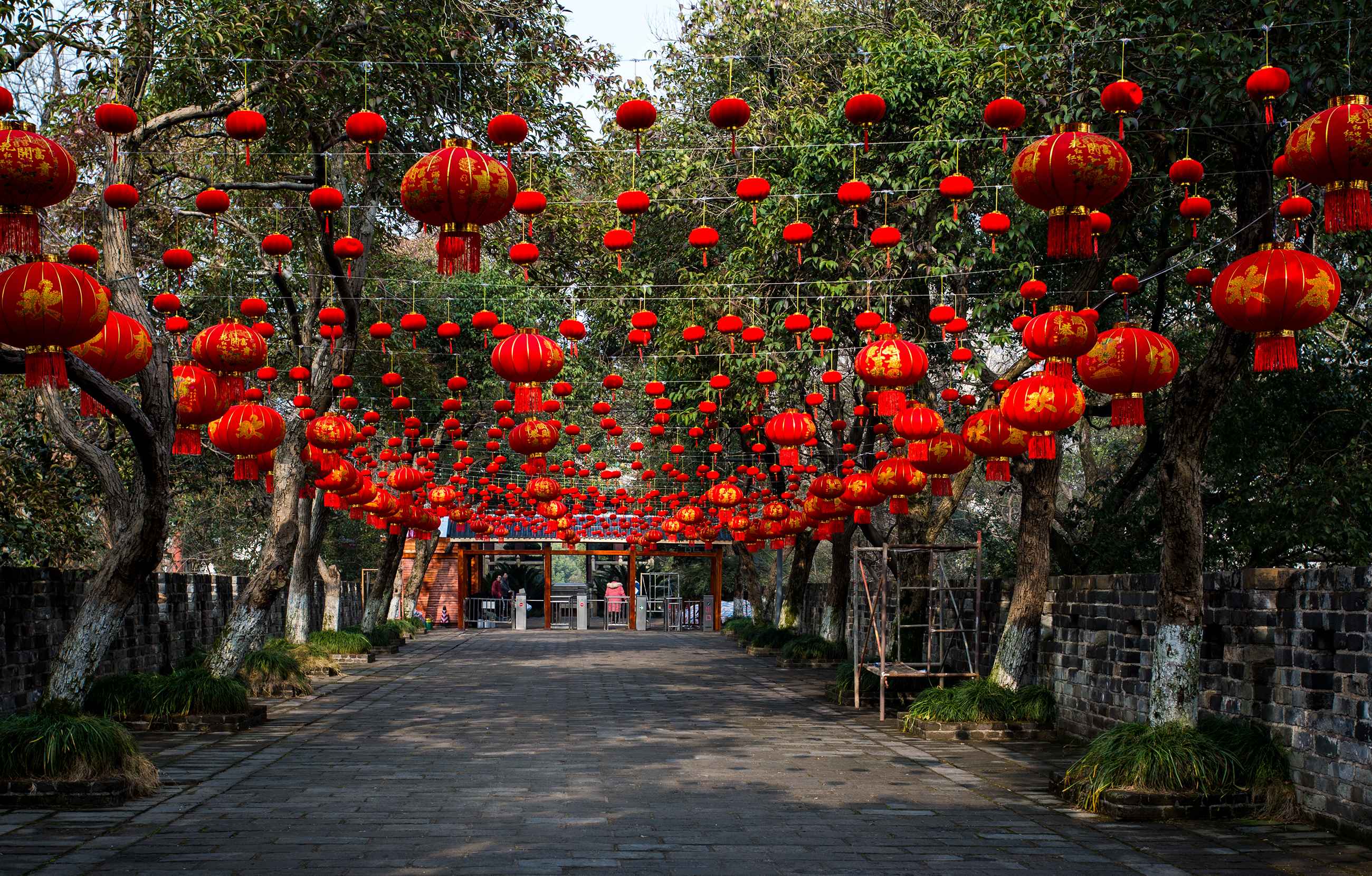 除夕红灯笼壁纸图片